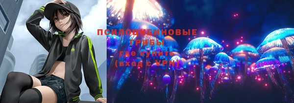 метадон Белокуриха