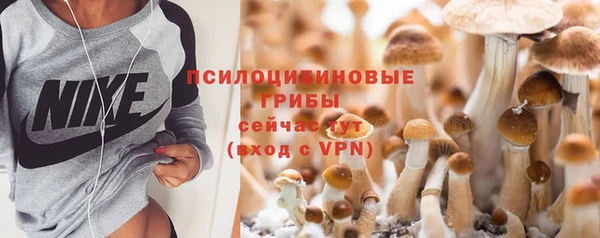 mdpv Беломорск