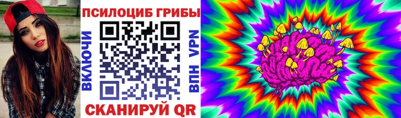 Купить  Арсеньев  Псилоцибиновые грибы Psilocybe 